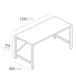 WOODEN DESK 120X60X74CM EDM