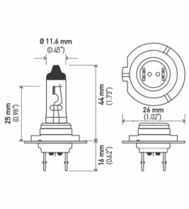 HALOGEN LAMP H7 12V 55W