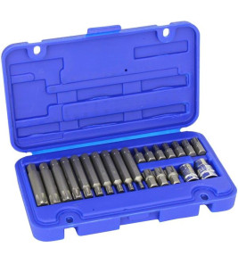 RIBE SOCKET SET 22PC DRAPER
