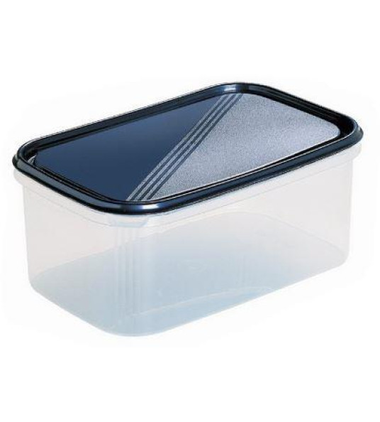 FOOD BOX 4.4L 29X19X12CM HEIDRUN