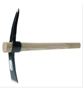 MARTELLINA CATANIA MARTELLINA CATANIA