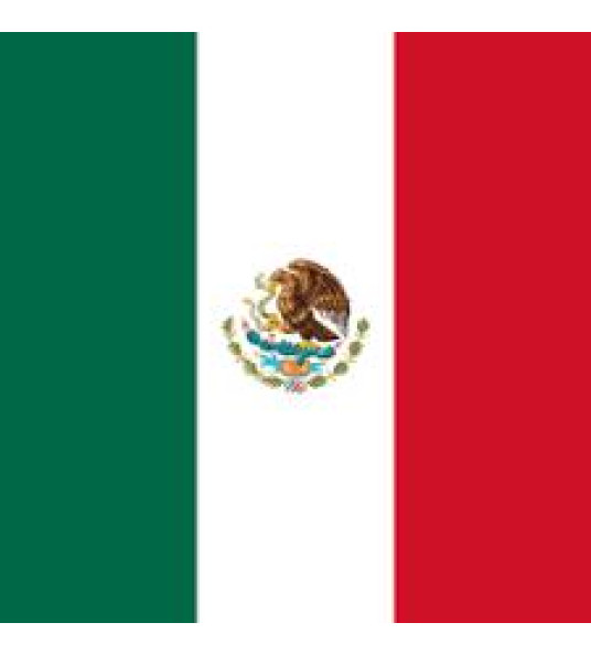 FLAG MEXICO 150X90CM