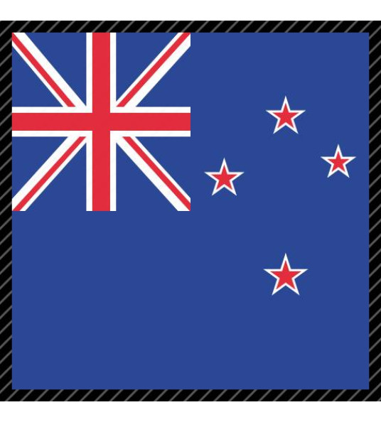 FLAG NEW ZEALAND 150X90CM