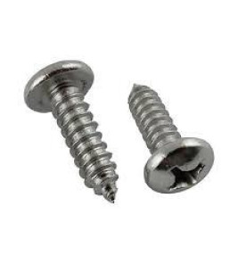 PANHEAD S/T SCREW 3.9X16MM A2 S/S DIN7981