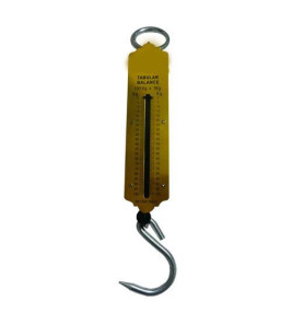 SPRING BALANCE 25KG