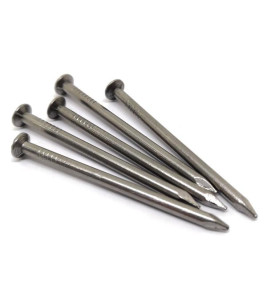 STAINLESS STEEL NAILS 1.6X20MM 100G
