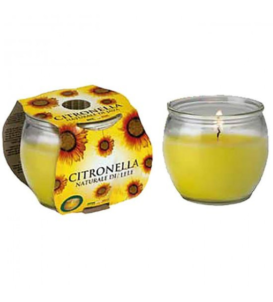 CITRONELLA MAIORCA IN GLASS