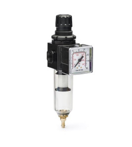 PRESSURE REGULATOR & FILTER 1/4`` PRESSURE REGULATOR & FILTER 1/4``