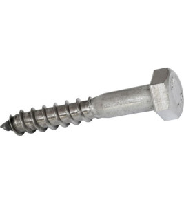 COACH SCREW A2 8X60MM DIN571
