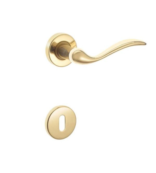 BRASS HANDLE SET WITH ROSETTE ARCA