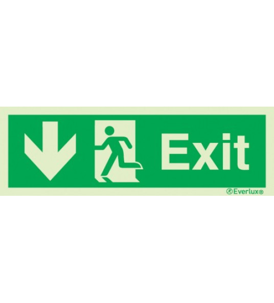 SIGN EXIT ARROW DOWN LEFT 300X100MM